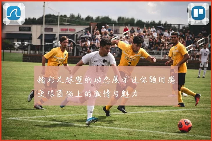 精彩足球壁纸动态展示让你随时感受绿茵场上的激情与魅力
