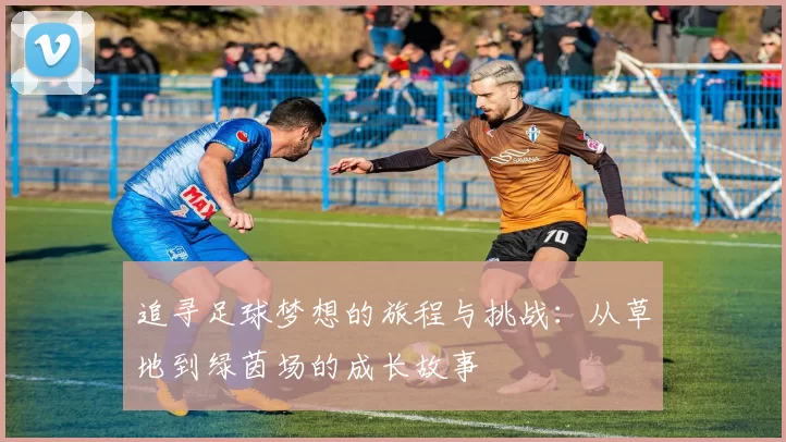 追寻足球梦想的旅程与挑战：从草地到绿茵场的成长故事