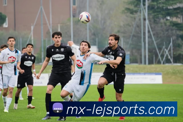 乐竞体育平台生态图